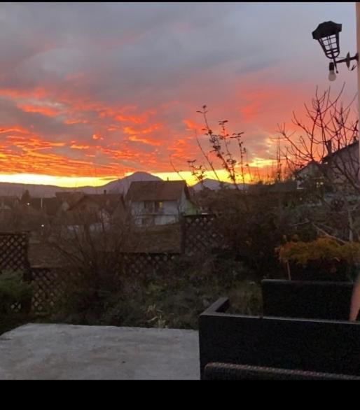 Apartmán Mala Oaza Čačak Exteriér fotografie